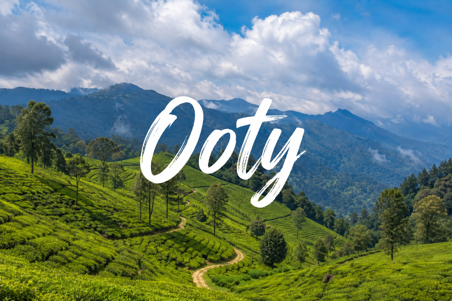 Ooty